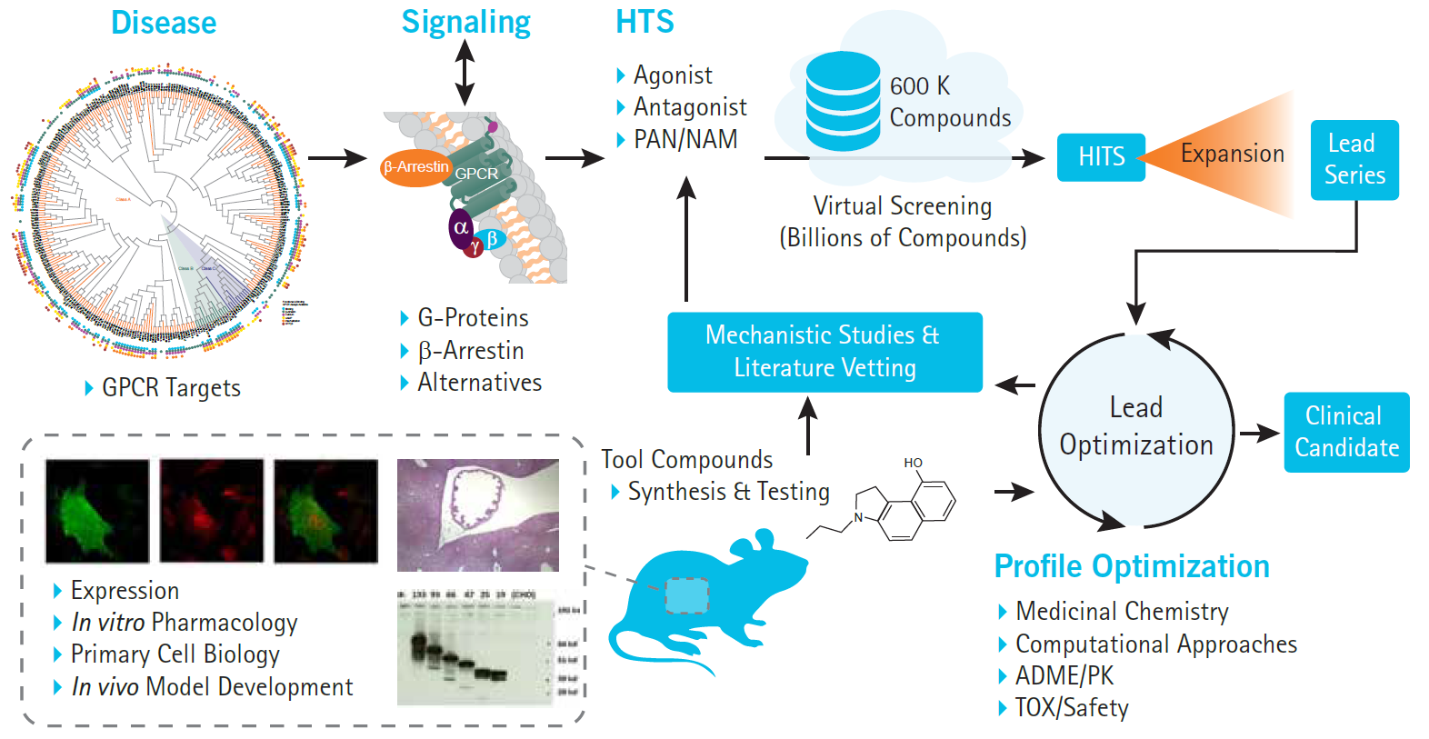 Integrated GPCR 서비스 | 자연과학