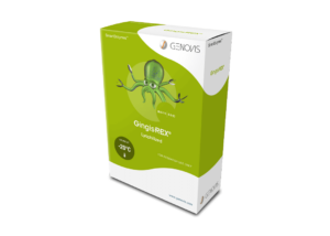 GingisREX® (Rgp) Protease