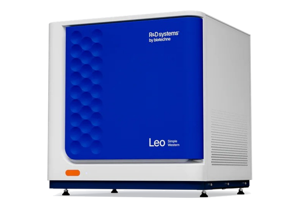 Leo 2