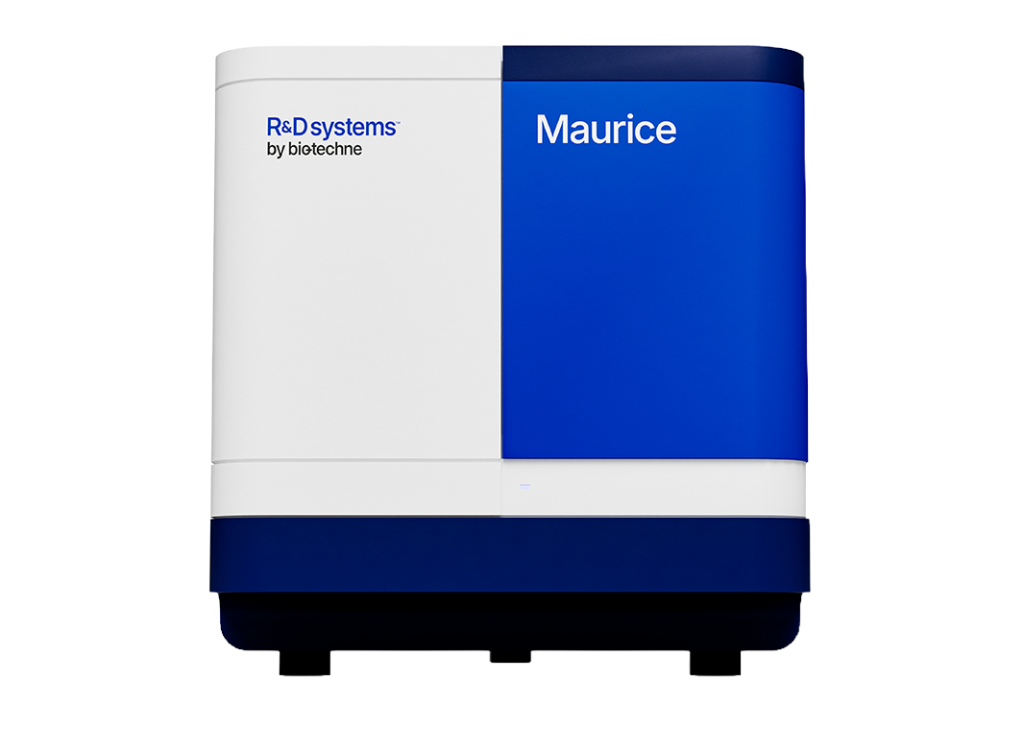 Maurice